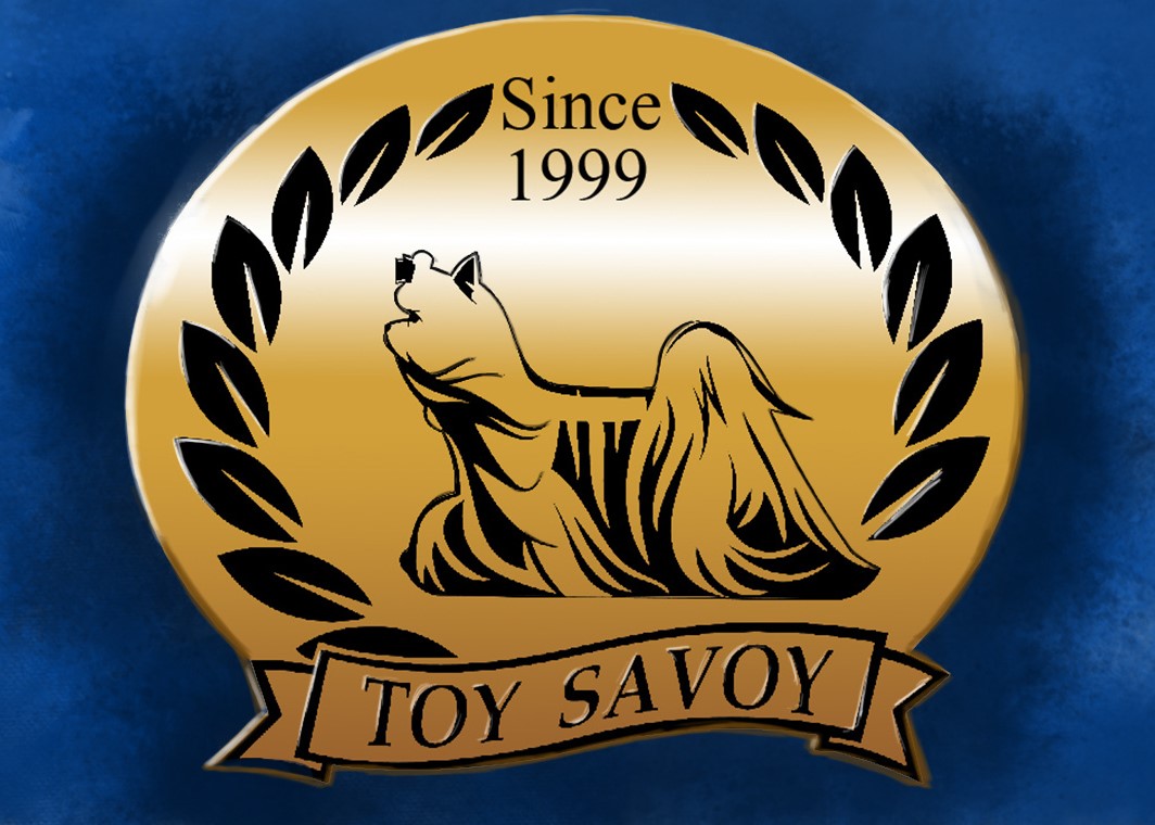 TOY SAVOY — Labaza DogPedigree YorkshireTerrier